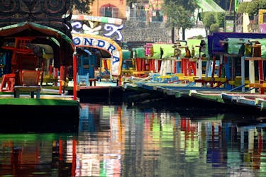 Tour privato di un giorno a Xochimilco, Coyoacán e Museo Frida Kahlo